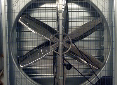 點(diǎn)擊查看詳細(xì)信息<br>標(biāo)題：Heavy Hammer Type Animal Husbandry Fan 閱讀次數(shù)：1599