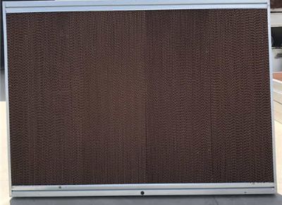 點(diǎn)擊查看詳細(xì)信息<br>標(biāo)題：Wet Curtain 閱讀次數(shù)：1817