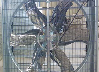 點(diǎn)擊查看詳細(xì)信息<br>標(biāo)題：Push Pull Negative Pressure Fan 閱讀次數(shù)：1401